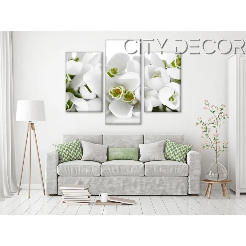 Модульная картина Citydecor Цветы/Растения арт. 5.32 (3 модуля) 70x96 см