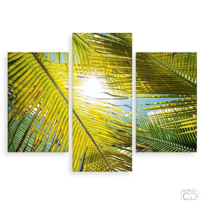 Модульная картина Citydecor Цветы/Растения арт. 5.33 (3 модуля) 70x96 см