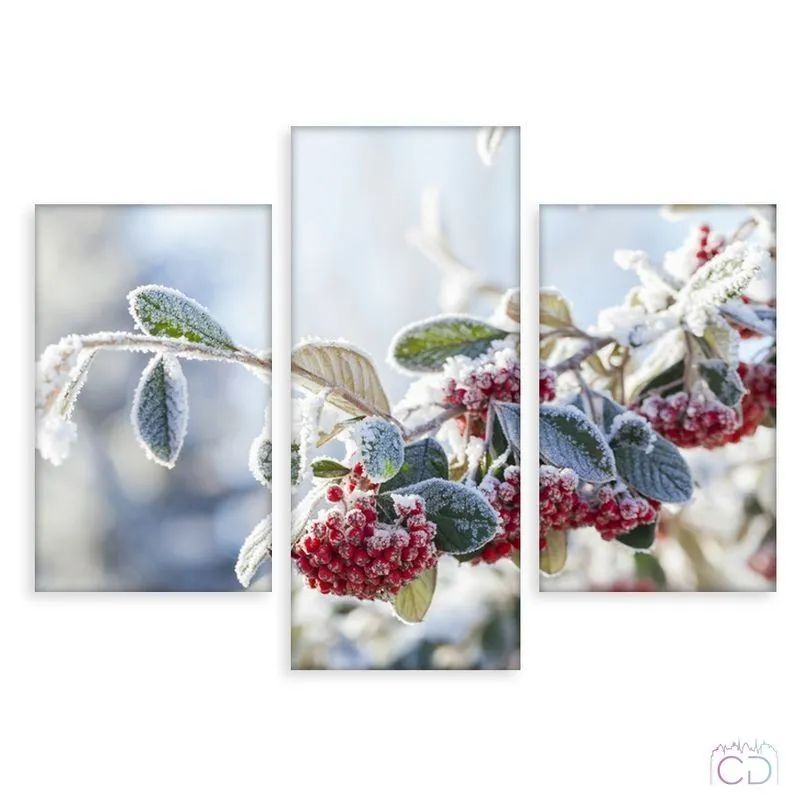 Модульная картина Citydecor Цветы/Растения арт. 5.35 (3 модуля) 70x96 см