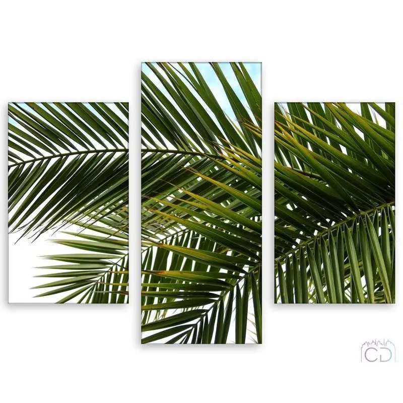 Модульная картина Citydecor Цветы/Растения арт. 5.39 (3 модуля) 70x96 см