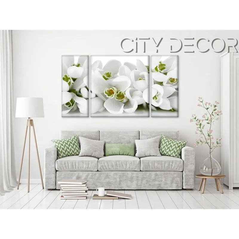 Модульная картина Citydecor Цветы/Растения арт. 6.40 (3 модуля) 60x118 см