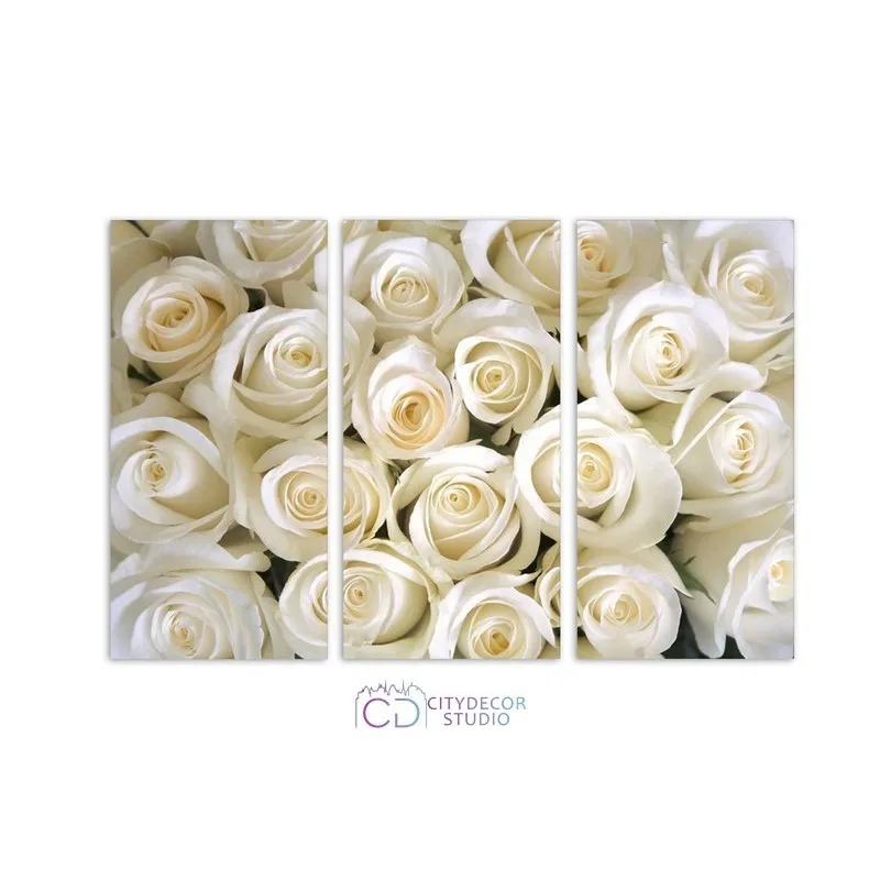 Модульная картина Citydecor Цветы/Растения арт. 7.3 (3 модуля) 75x117 см