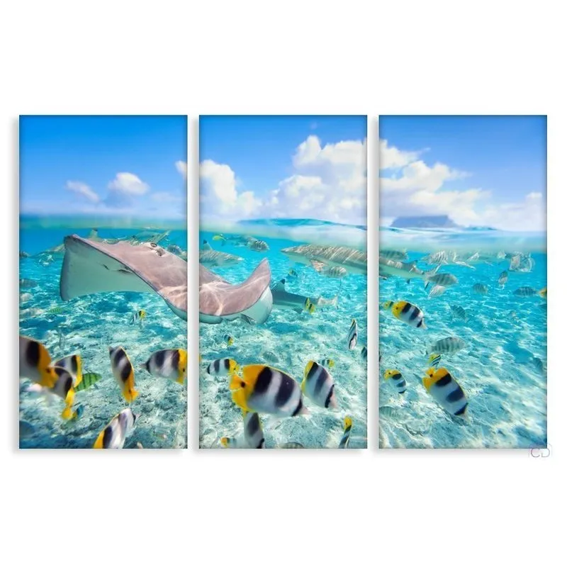 Модульная картина Citydecor Море/Водопады арт. 7.69 (3 модуля) 75x117 см