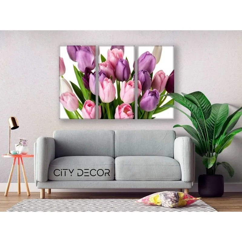 Модульная картина Citydecor Цветы/Растения арт. 7.78 (3 модуля) 75x117 см