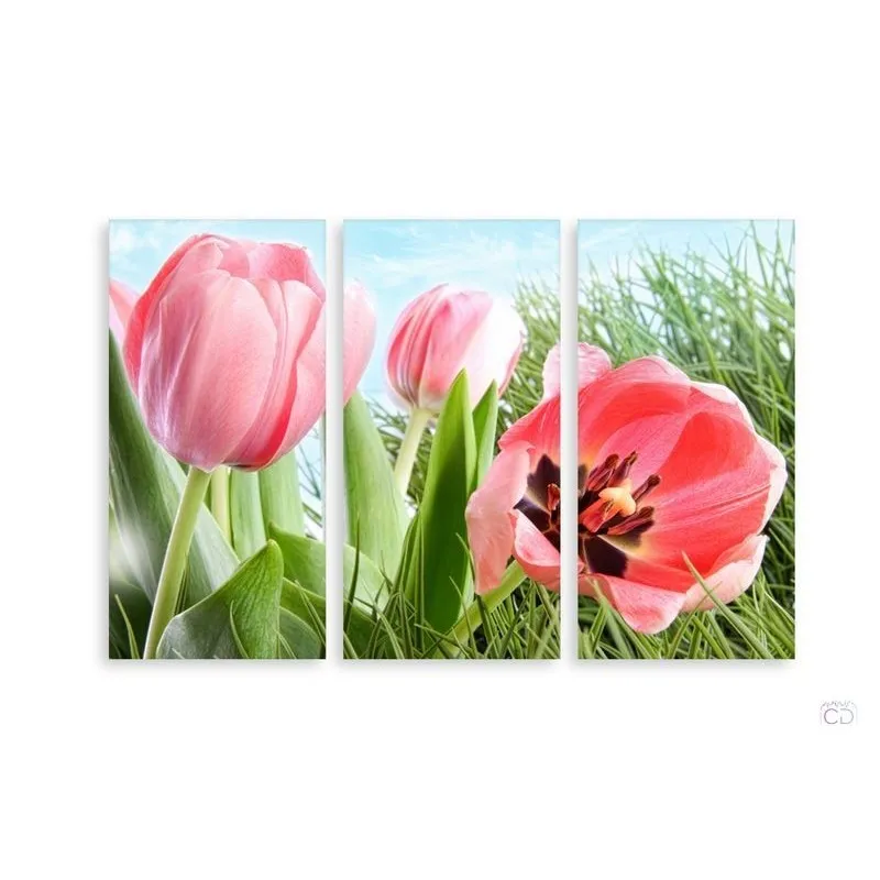 Модульная картина Citydecor Цветы/Растения арт. 7.81 (3 модуля) 75x117 см