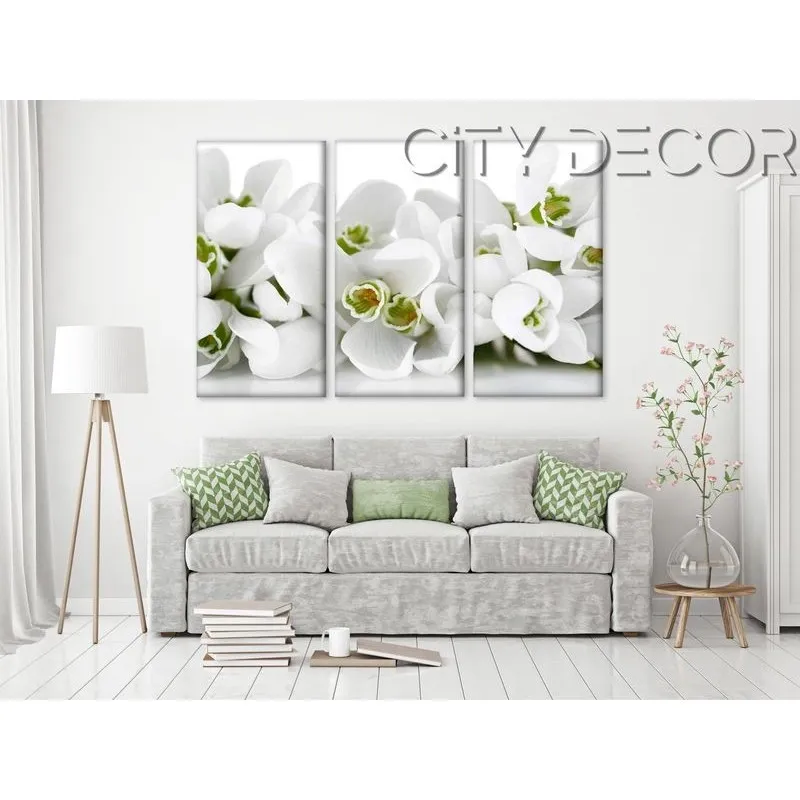 Модульная картина Citydecor Цветы/Растения арт. 7.84 (3 модуля) 75x117 см