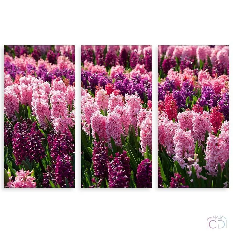 Модульная картина Citydecor Цветы/Растения арт. 7.98 (3 модуля) 75x117 см
