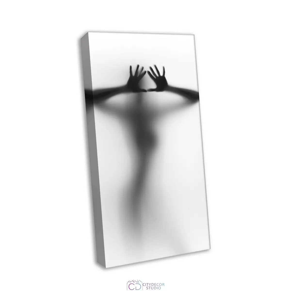 Модульная картина Citydecor Абстракция арт. 9.50 (1 модуль) 75x37 см