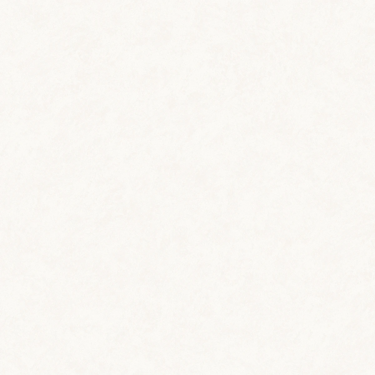 Обои флизелиновые HYGGE Made in Russia MIR5 001 1,0x10,05м
