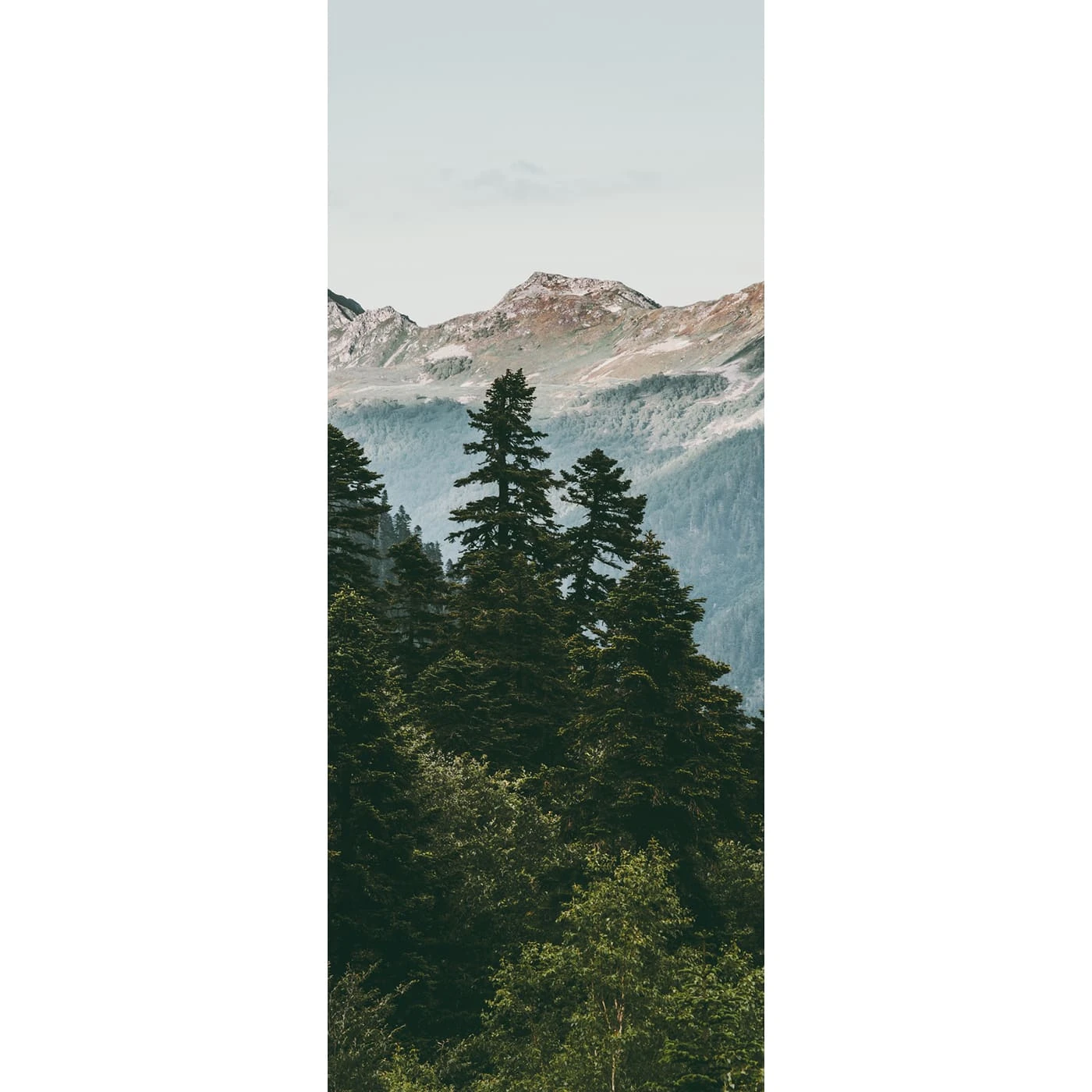 Самоклеящаяся пленка на окно, для мебели Природа 52 60x150 см