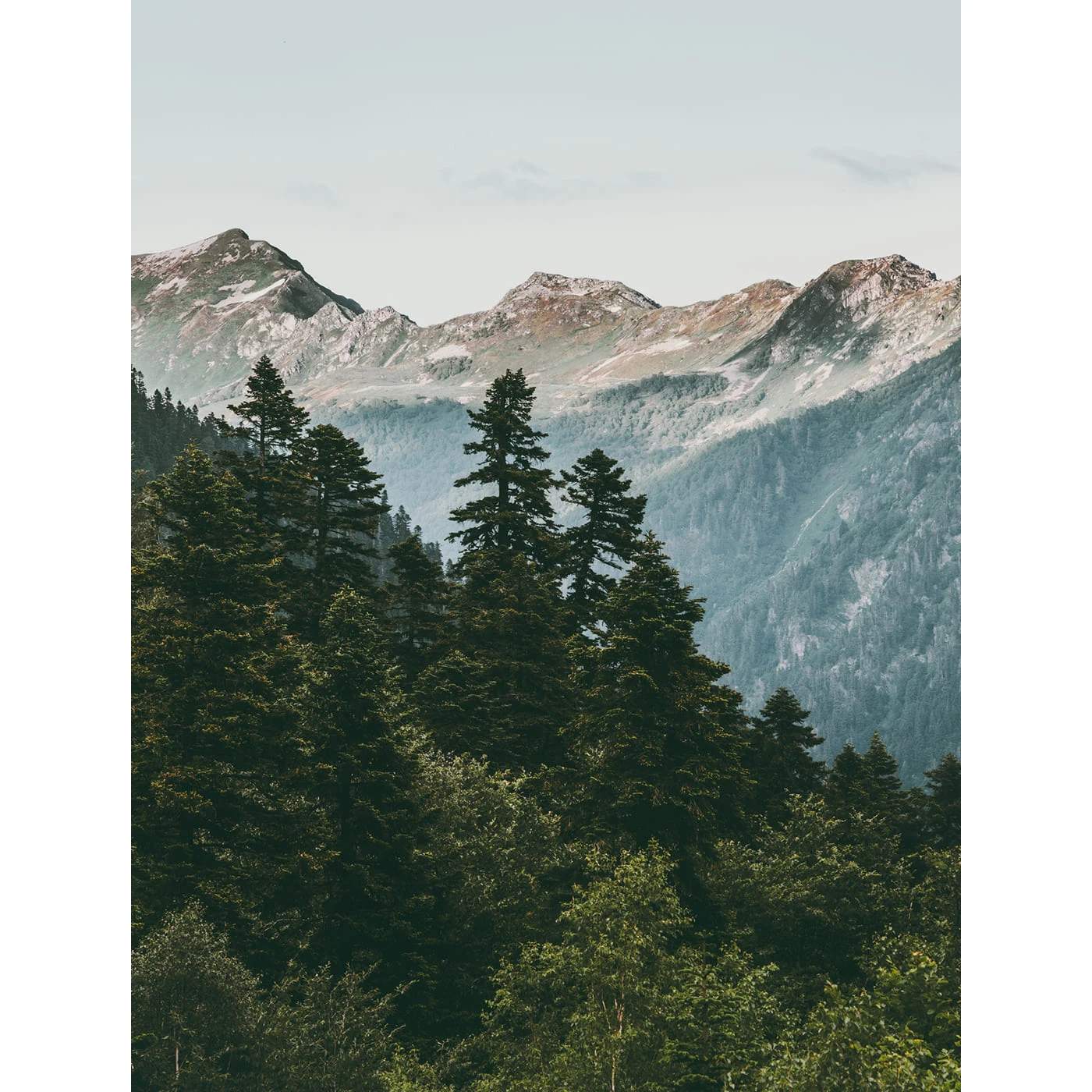 Самоклеящаяся пленка на окно, для мебели Природа 52 76x100 см