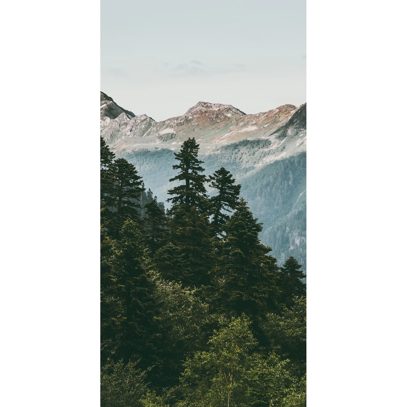 Самоклеящаяся пленка на окно, для мебели Природа 52 76x150 см