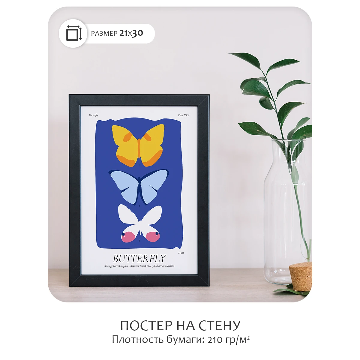 Постер Citydecor Butterfly (1 постер 21x30 см без рамы)