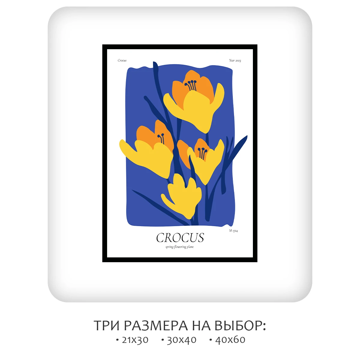 Постер Citydecor Crocus (1 постер 21x30 см без рамы)