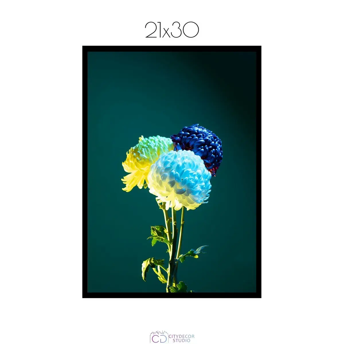 Постер Citydecor Цветы арт. 11 (1 постер 21x30 см без рамы)