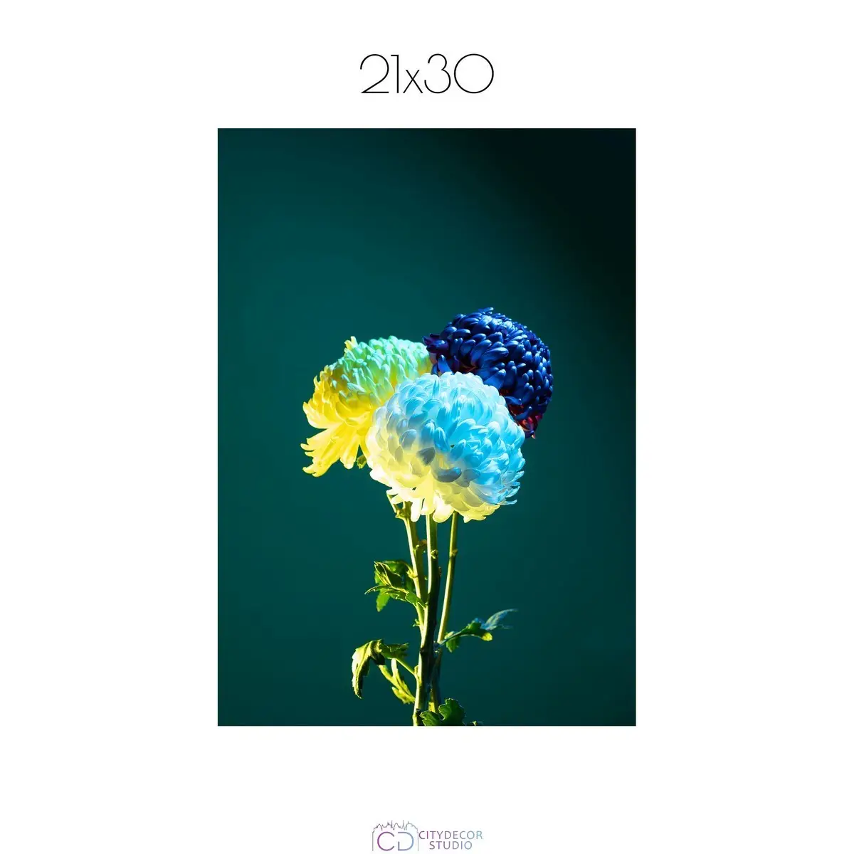 Постер Citydecor Цветы арт. 11 (1 постер 21x30 см без рамы)