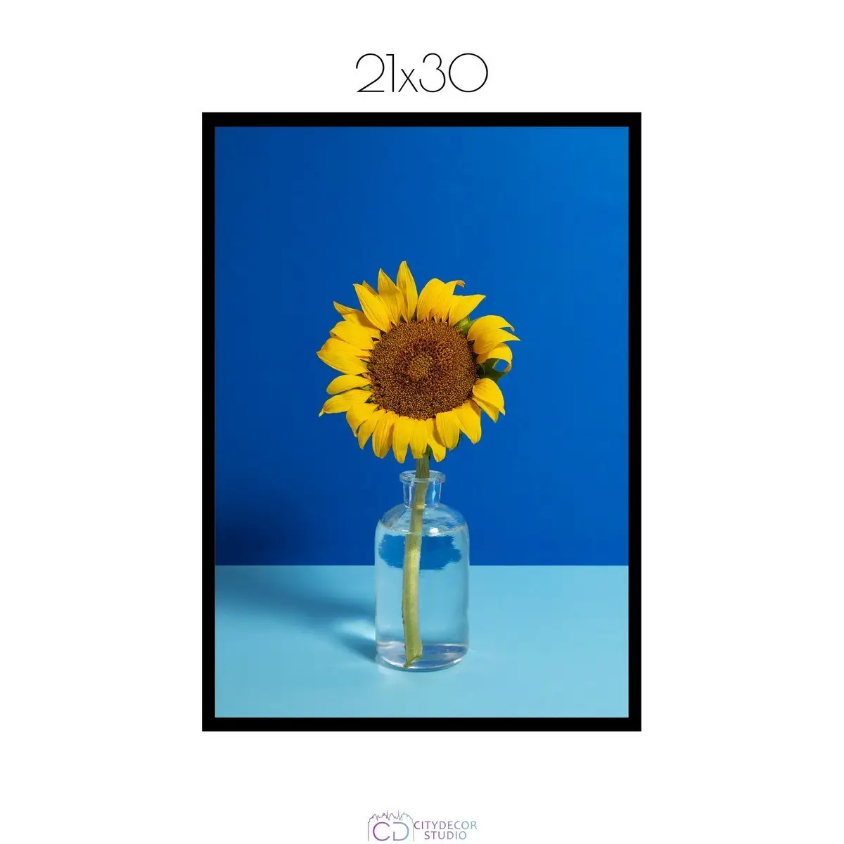 Постер Citydecor Цветы арт. 12 (1 постер 21x30 см без рамы)