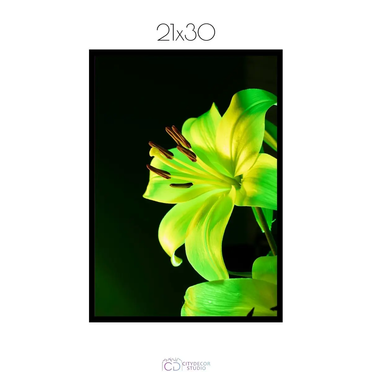Постер Citydecor Цветы арт. 13 (1 постер 21x30 см без рамы)