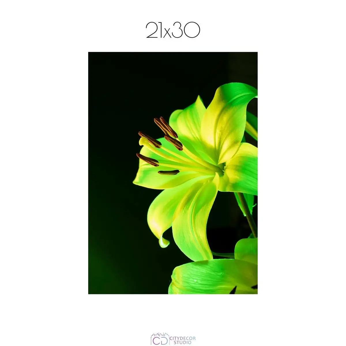 Постер Citydecor Цветы арт. 13 (1 постер 21x30 см без рамы)
