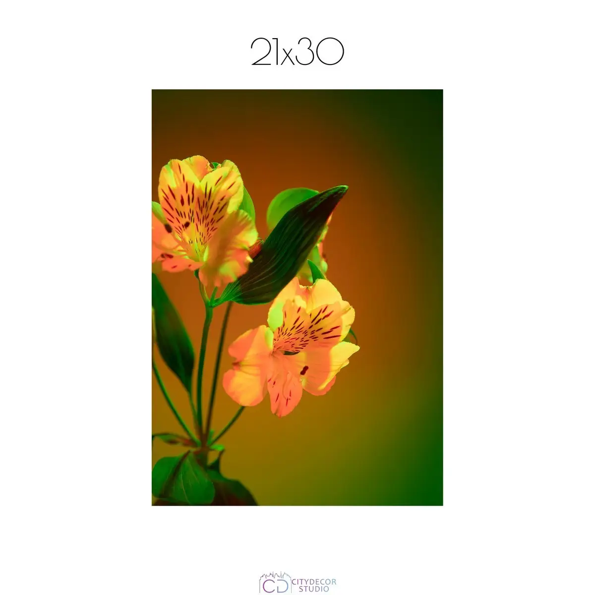 Постер Citydecor Цветы арт. 4 (1 постер 21x30 см без рамы)