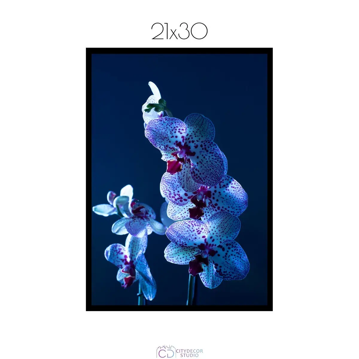 Постер Citydecor Цветы арт. 5 (1 постер 21x30 см без рамы)