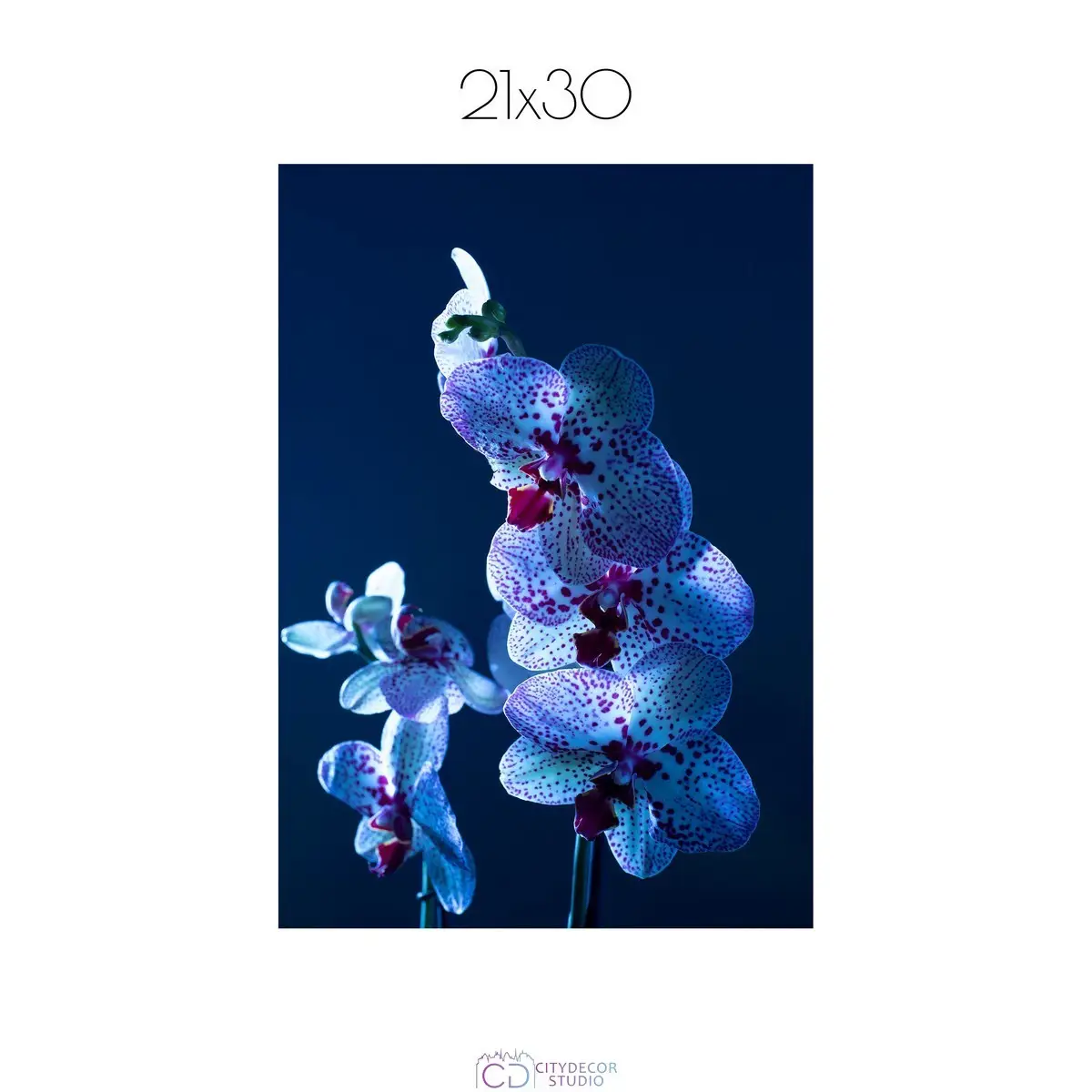 Постер Citydecor Цветы арт. 5 (1 постер 21x30 см без рамы)