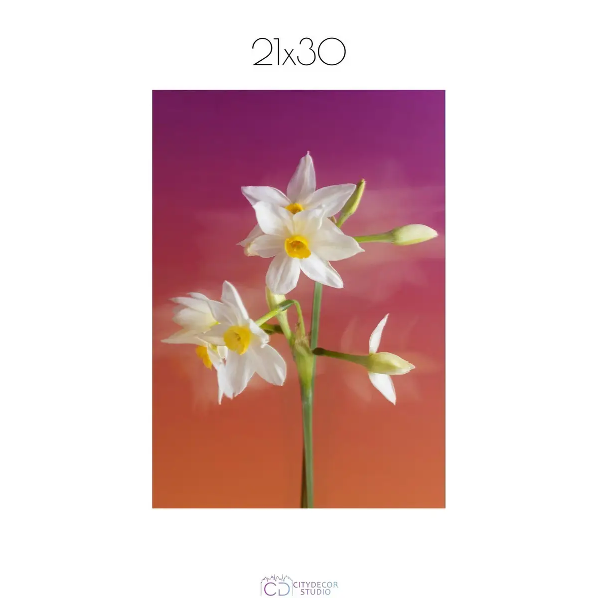 Постер Citydecor Цветы арт. 7 (1 постер 21x30 см без рамы)