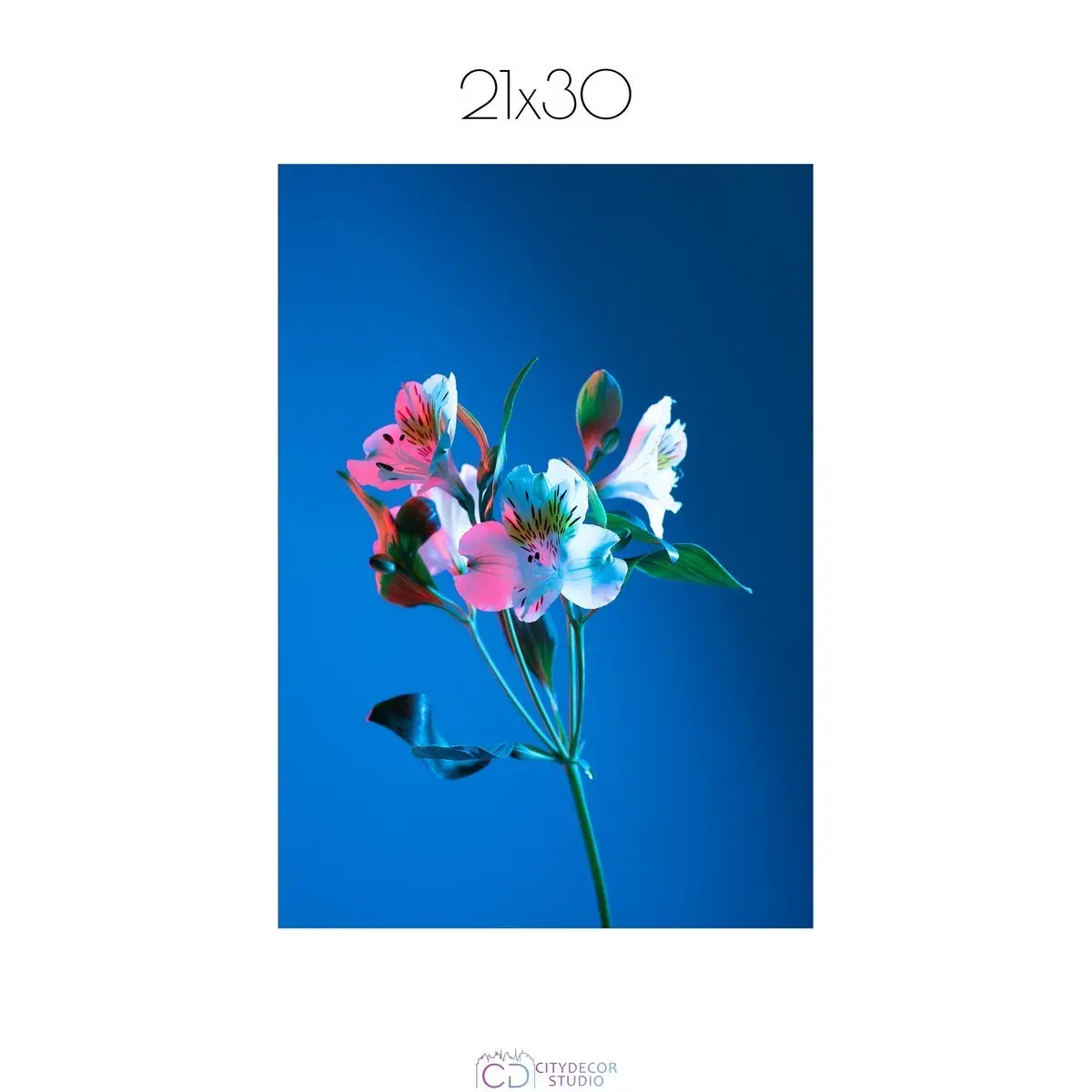 Постер Citydecor Цветы арт. 8 (1 постер 21x30 см без рамы)