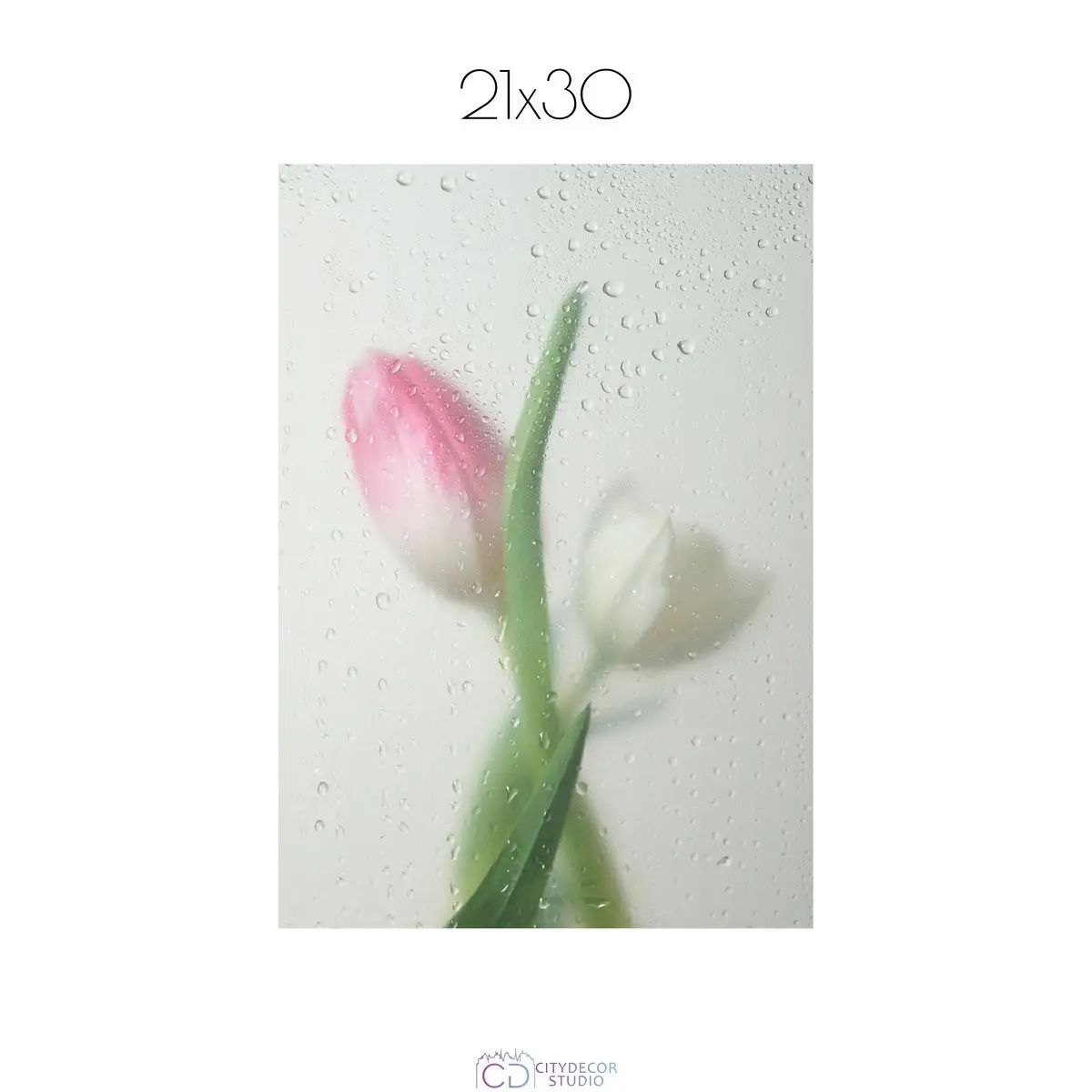 Постер Citydecor Цветы арт. 9 (1 постер 21x30 см без рамы)