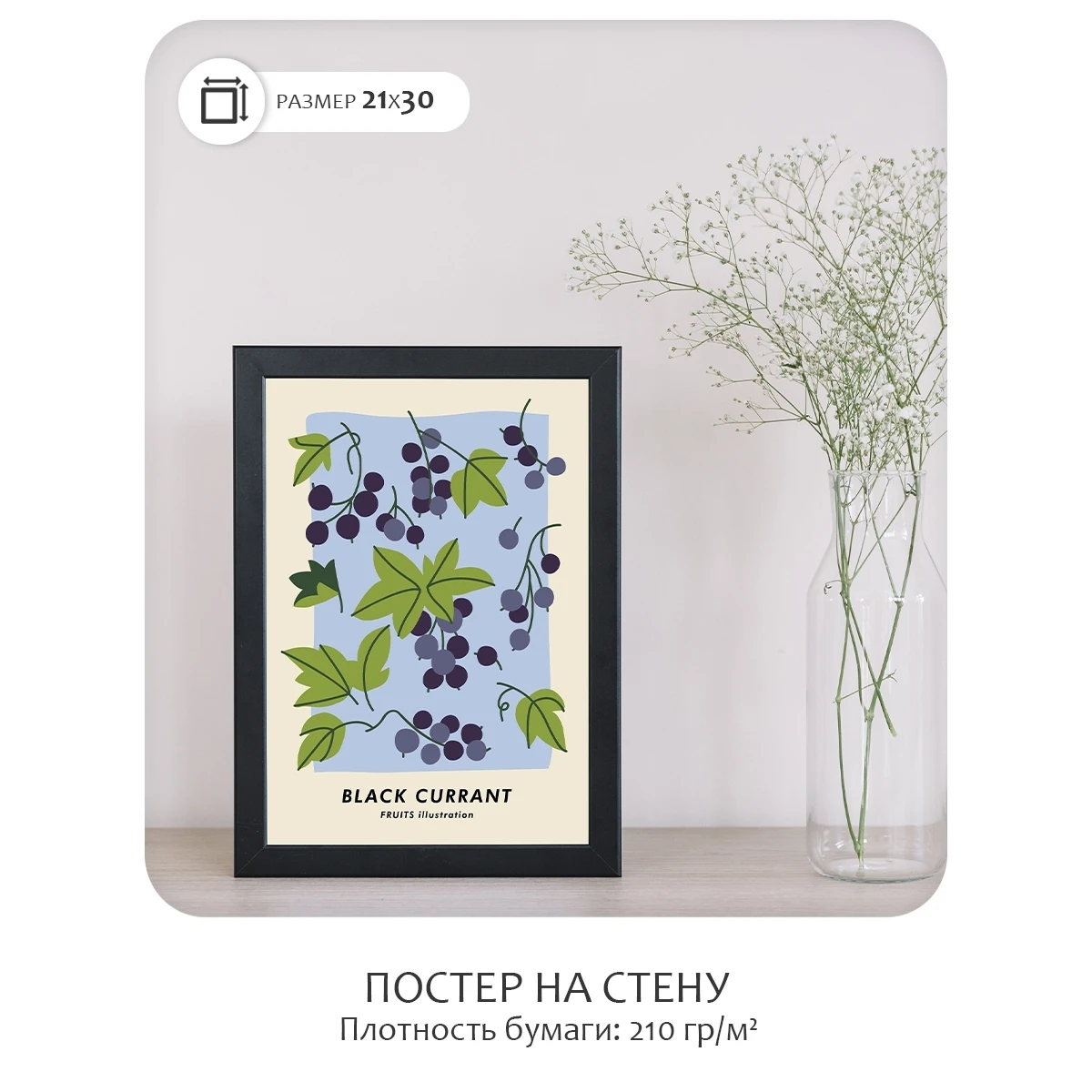 Постер Citydecor Фрукты арт. 10 (1 постер 21x30 см без рамы)
