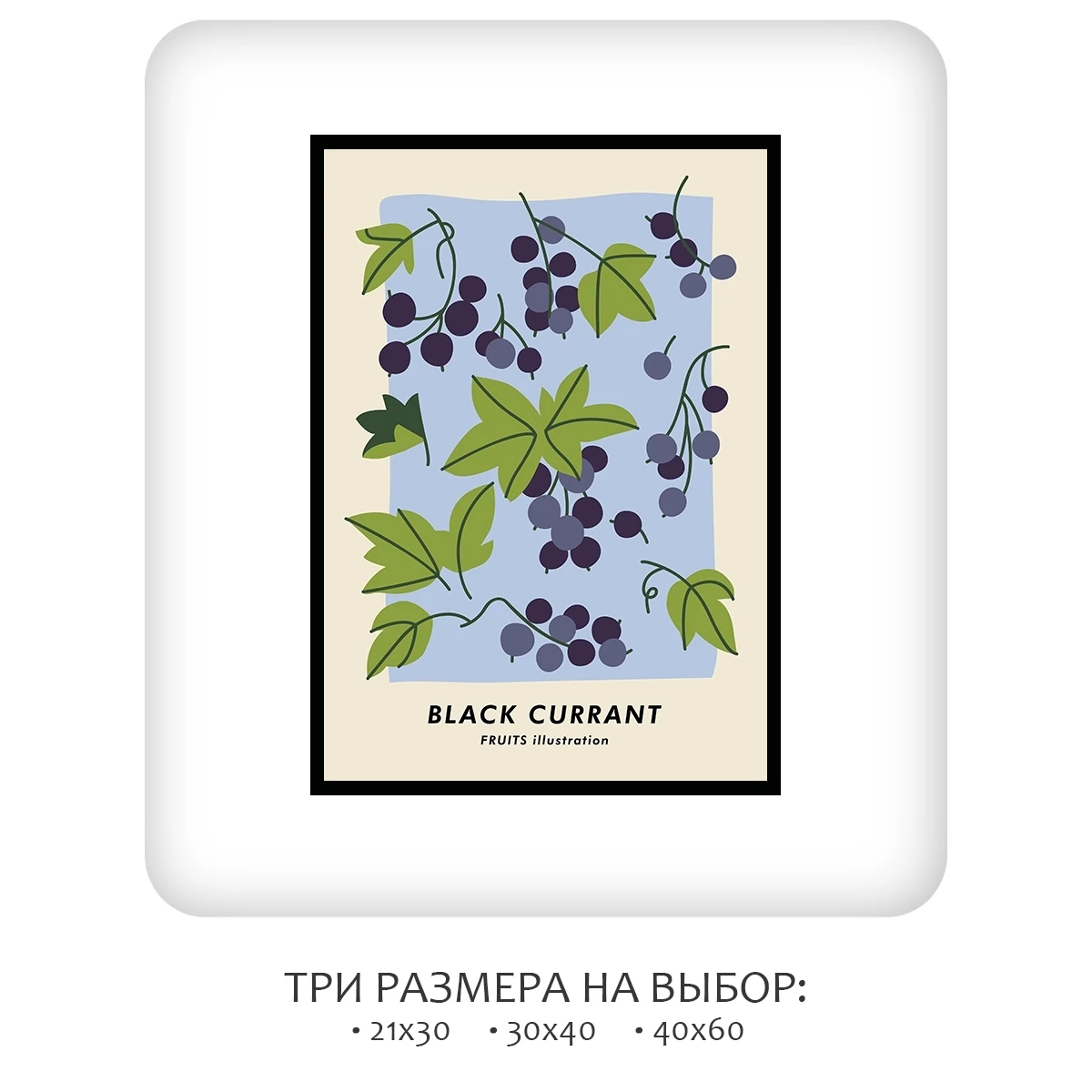 Постер Citydecor Фрукты арт. 10 (1 постер 21x30 см без рамы)