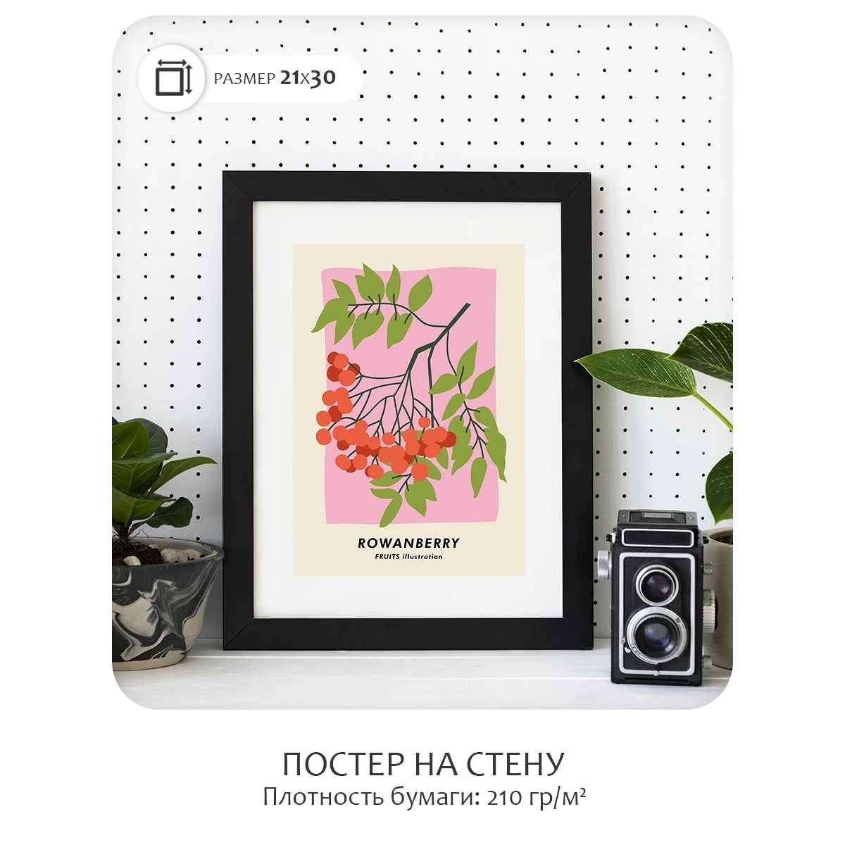 Постер Citydecor Фрукты арт. 4 (1 постер 21x30 см без рамы)