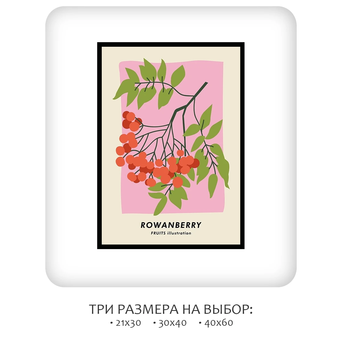 Постер Citydecor Фрукты арт. 4 (1 постер 21x30 см без рамы)