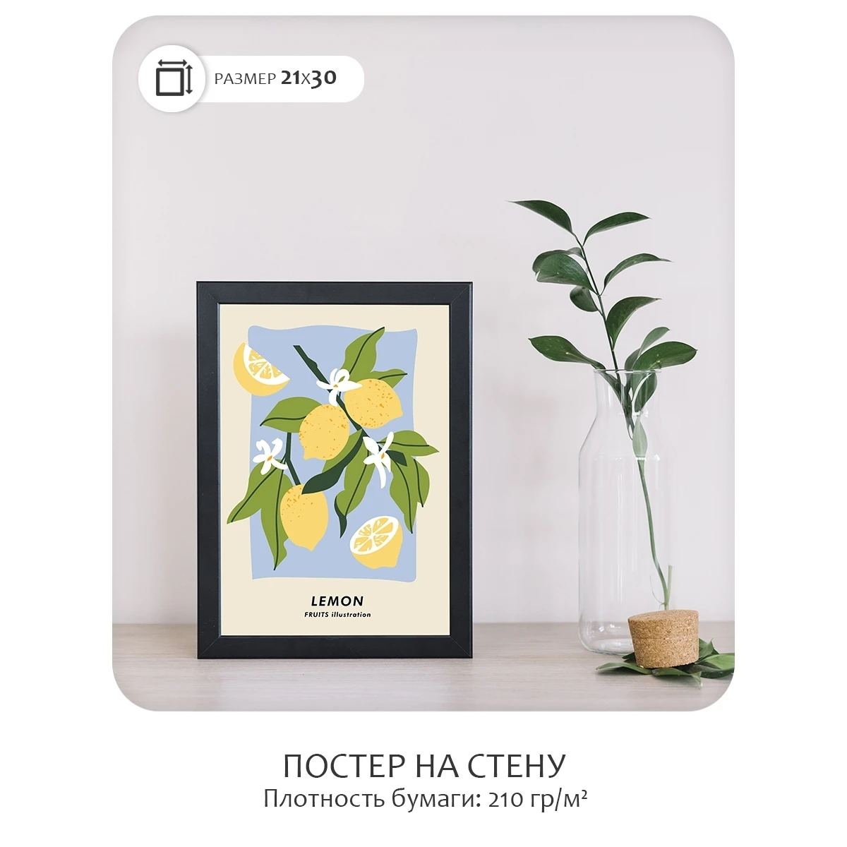 Постер Citydecor Фрукты арт. 5 (1 постер 21x30 см без рамы)