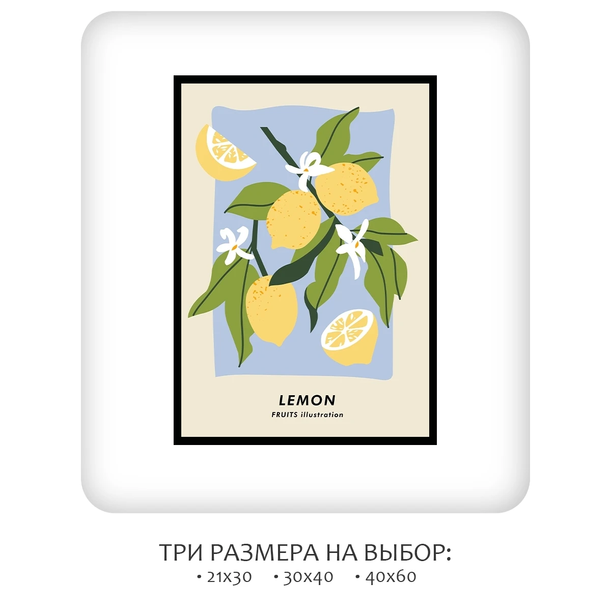 Постер Citydecor Фрукты арт. 5 (1 постер 21x30 см без рамы)