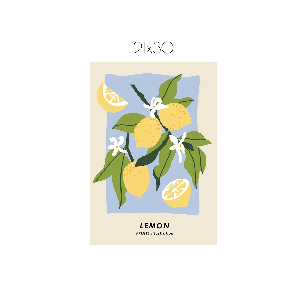 Постер Citydecor Фрукты арт. 5 (1 постер 21x30 см без рамы)