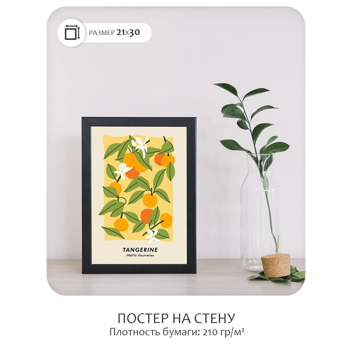 Постер Citydecor Фрукты арт. 6 (1 постер 21x30 см без рамы)
