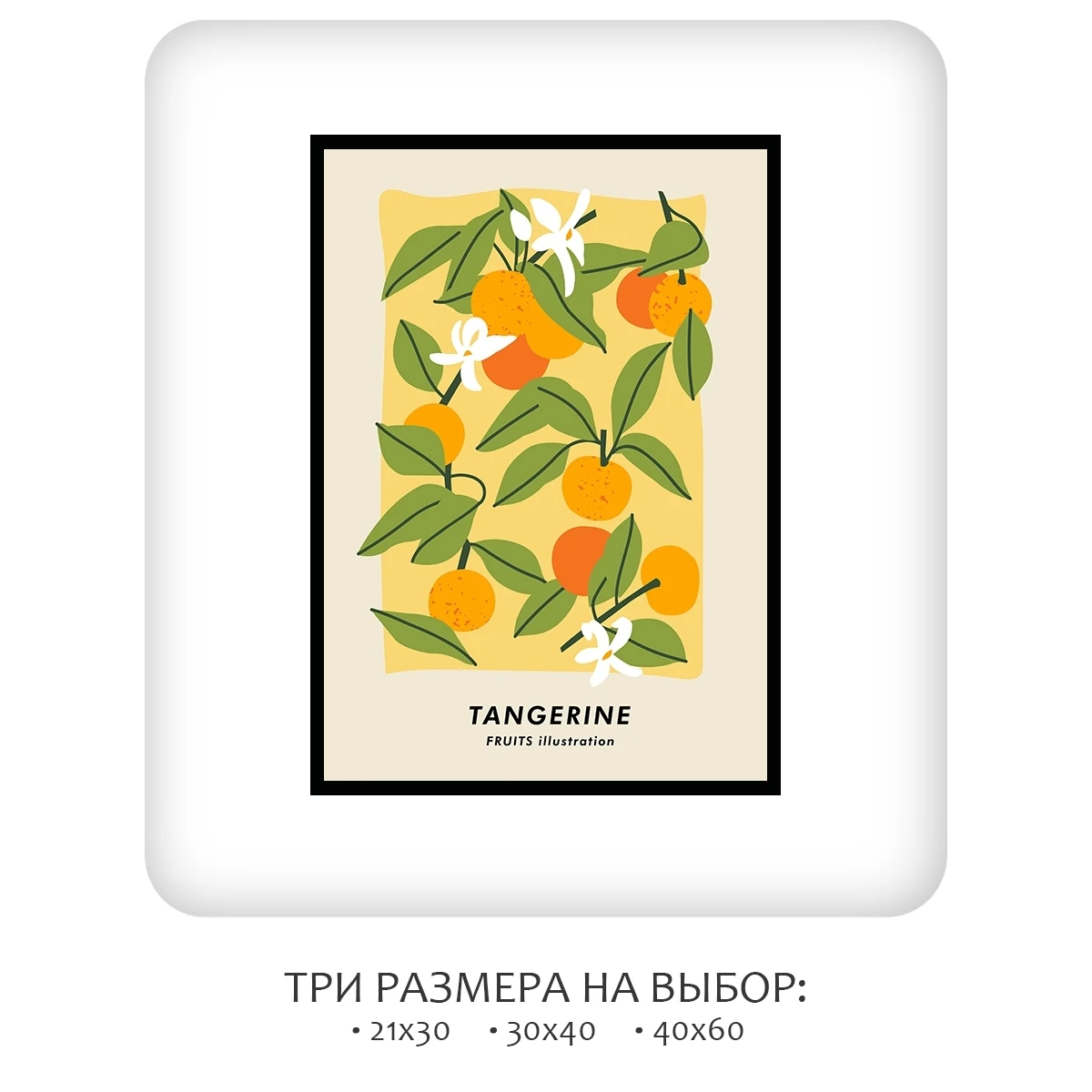 Постер Citydecor Фрукты арт. 6 (1 постер 21x30 см без рамы)