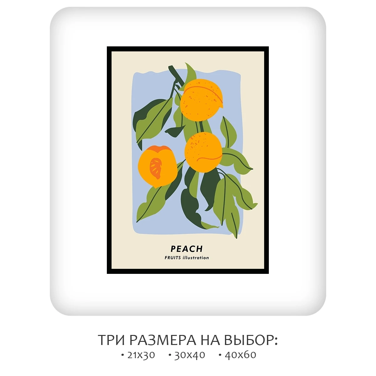 Постер Citydecor Фрукты арт. 7 (1 постер 21x30 см без рамы)