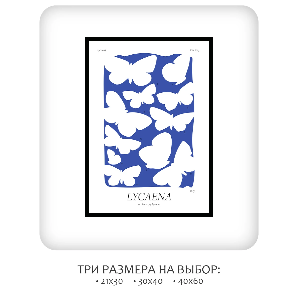 Постер Citydecor Lycaena (1 постер 21x30 см без рамы)