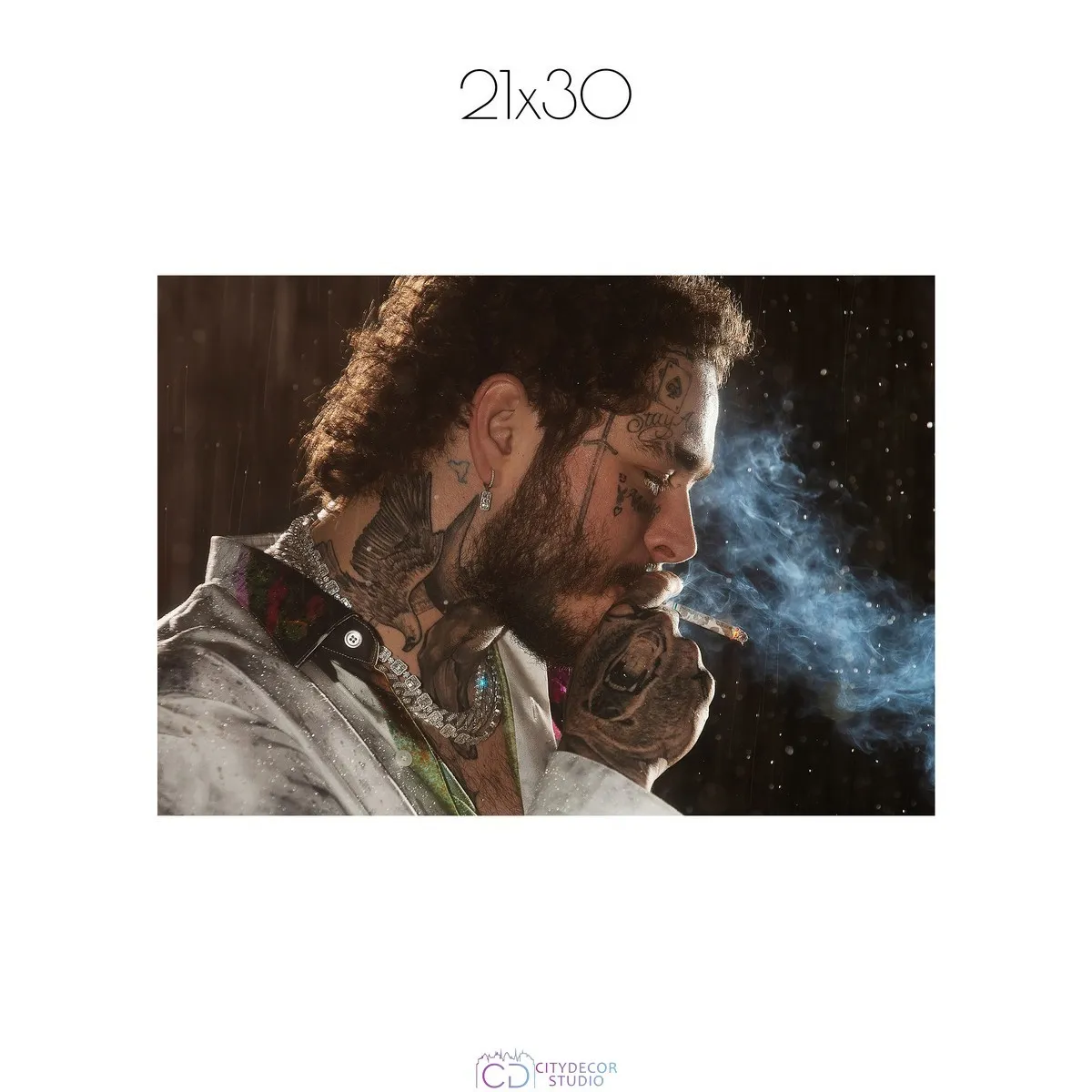 Постер Citydecor Post Malone арт. 1 (1 постер 21x30 см без рамы)