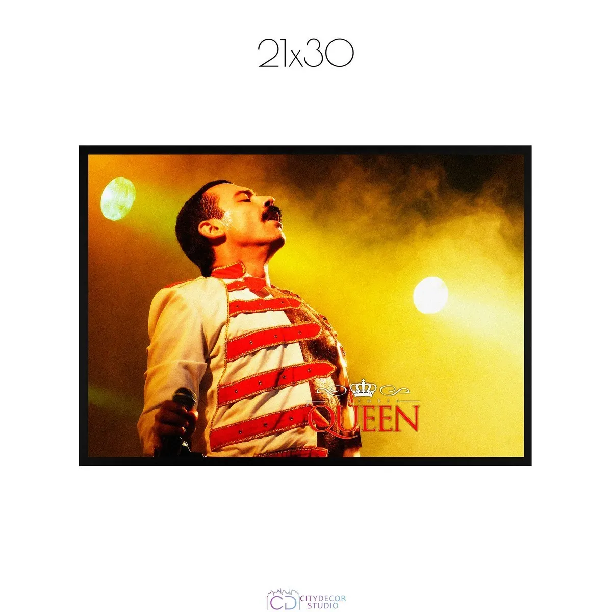 Постер Citydecor Freddie Mercury арт. 2 (1 постер 21x30 см без рамы)