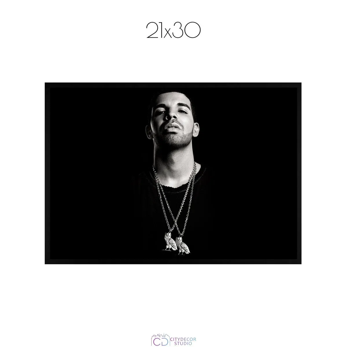 Постер Citydecor Drake арт. 1 (1 постер 21x30 см без рамы)
