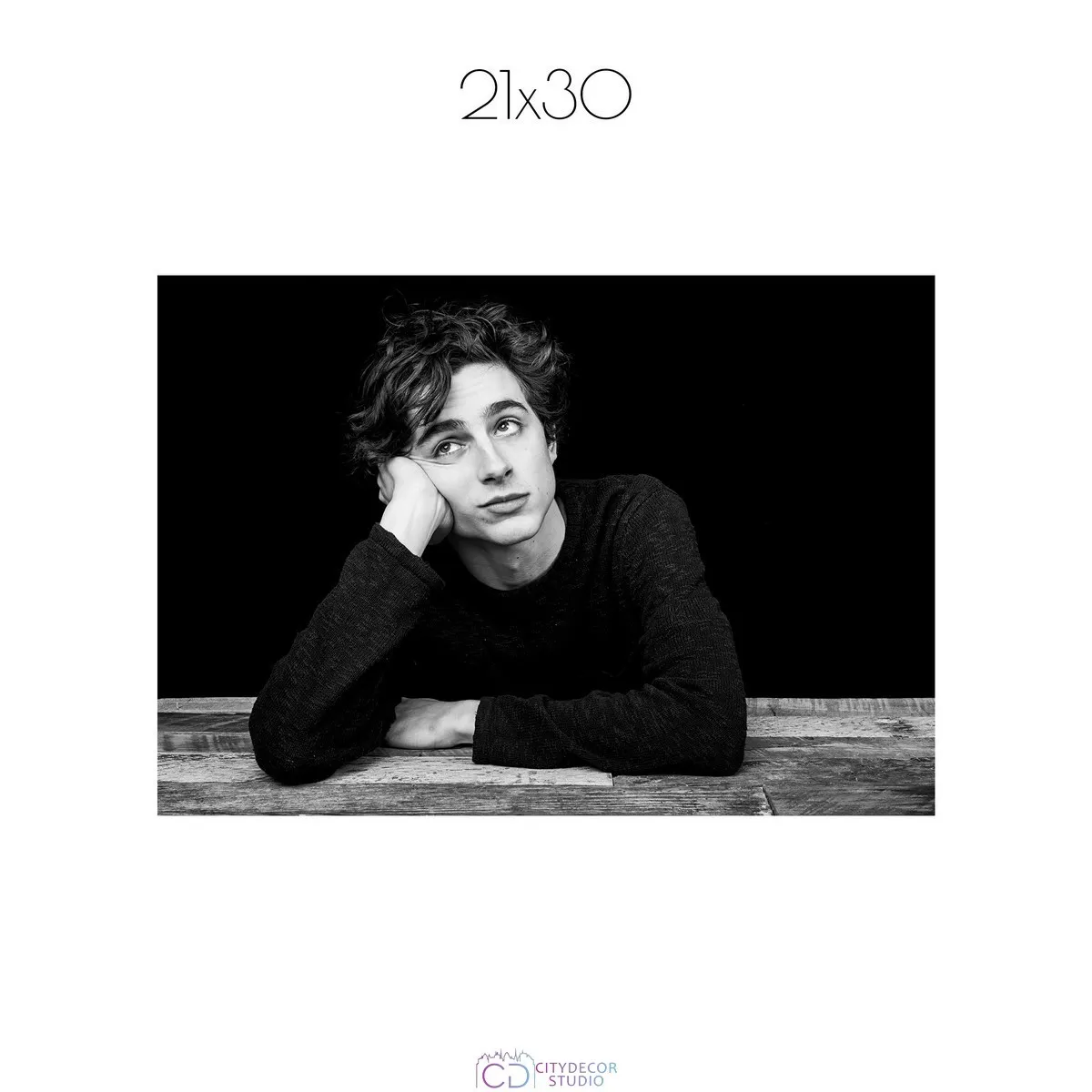 Постер Citydecor Timothee Chalamet арт. 1 (1 постер 21x30 см без рамы)