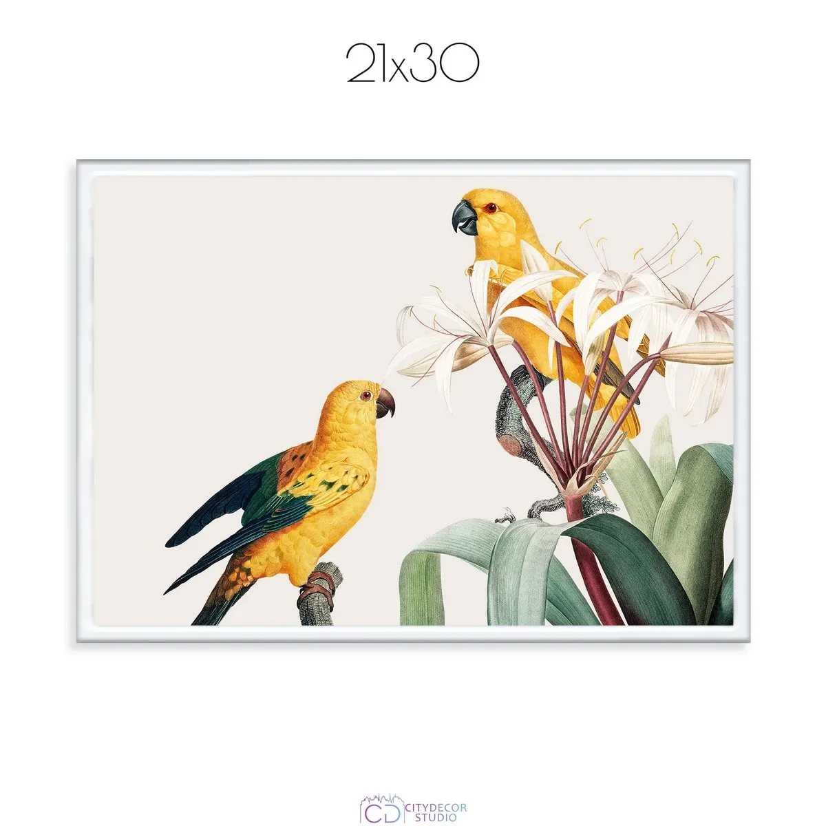 Постер Citydecor Попугайчики арт. 9 (1 постер 21x30 см без рамы)