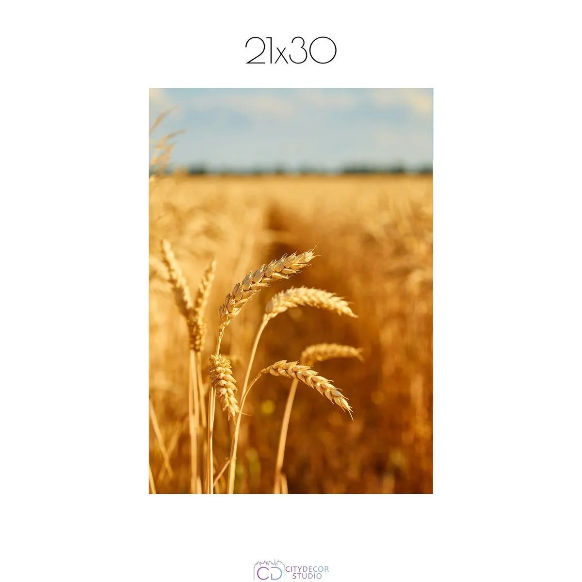 Постер Citydecor Природа арт. 7 (1 постер 21x30 см без рамы)