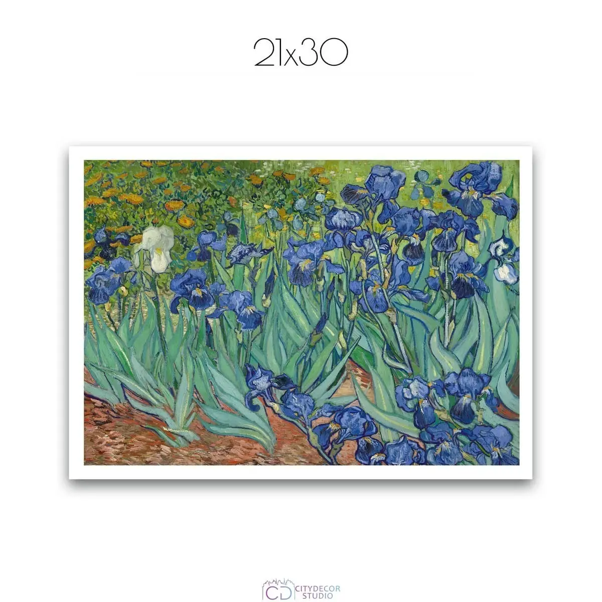 Постер Citydecor "Ирисы", Винсент ван Гог. Репродукция (1 постер 21x30 см без рамы)