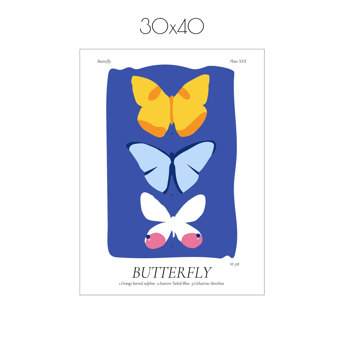 Постер Citydecor Butterfly (1 постер 30x40 см без рамы)