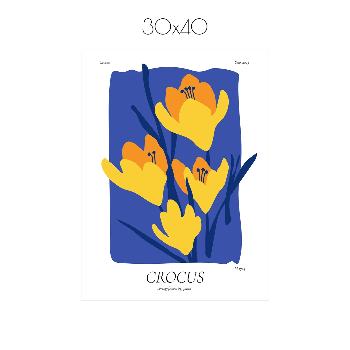 Постер Citydecor Crocus (1 постер 30x40 см без рамы)