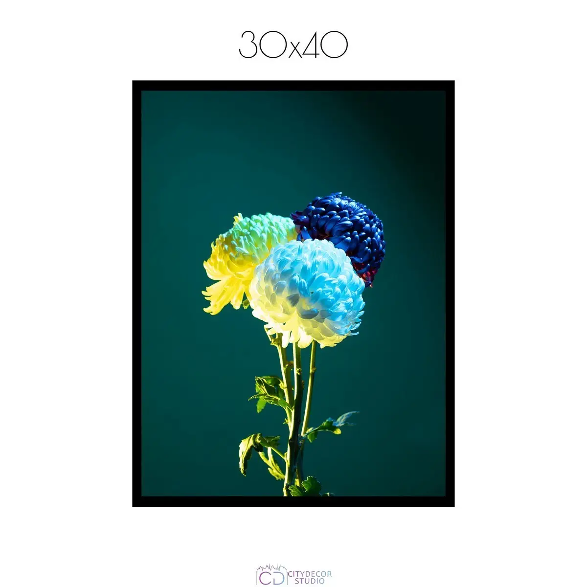 Постер Citydecor Цветы арт. 11 (1 постер 30x40 см без рамы)